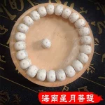 星月同契·Bodhisparse — Hainan Bodhi Bracelet | Large Blank Grain · Moon Bright Sparse · Same Branch Seed · Unisex Single Circle